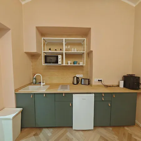 Spacious, Light In Vinohrady *